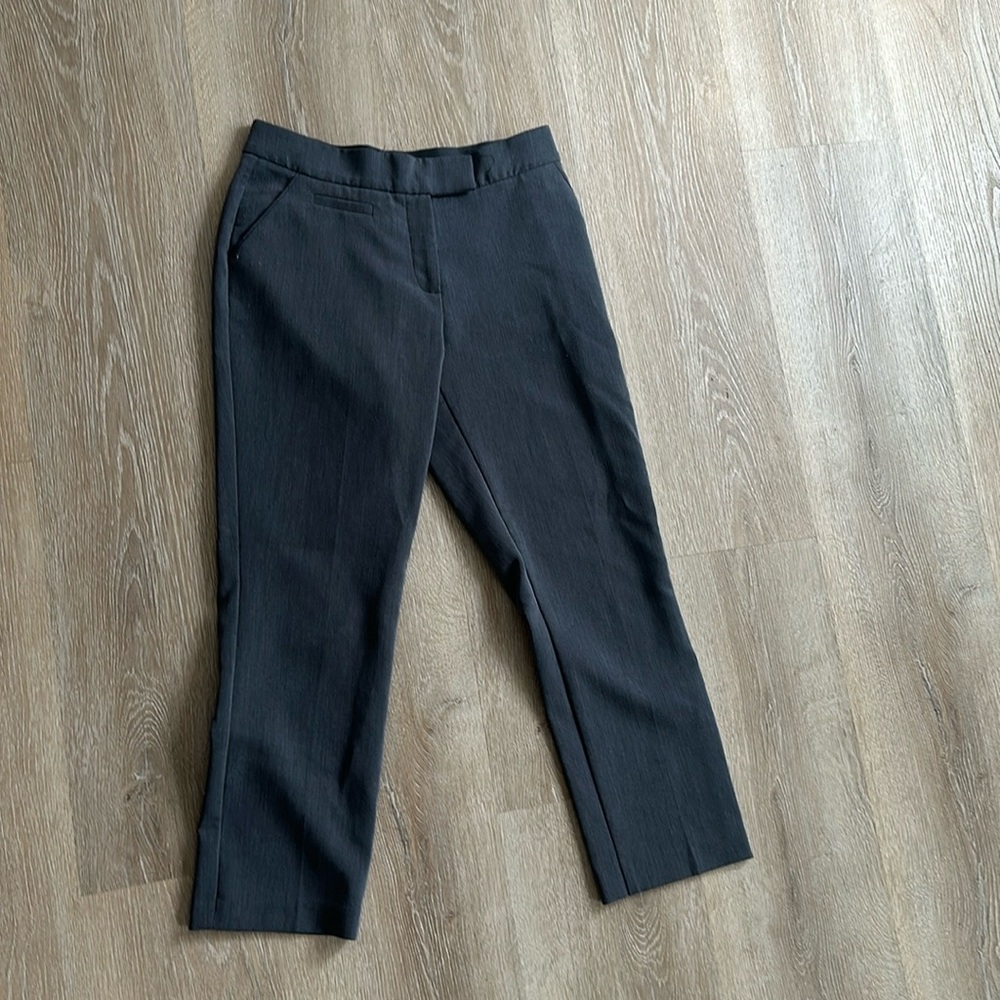 Professional pants